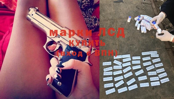 прущие грибы Медногорск