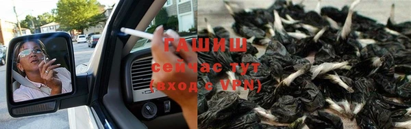 прущие грибы Медногорск