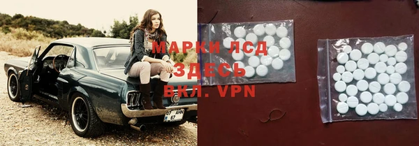 прущие грибы Медногорск