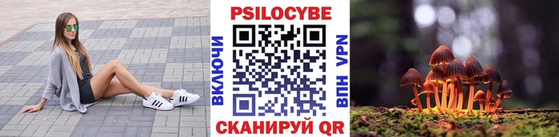 Галлюциногенные грибы MAGIC MUSHROOMS  Купить где  Фрязино 